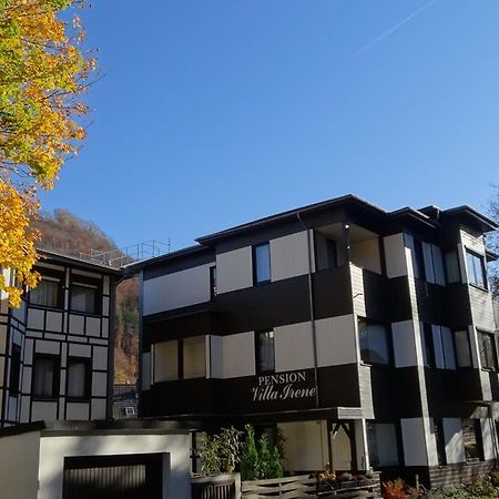 Pension Villa Irene Bad Harzburg Bagian luar foto