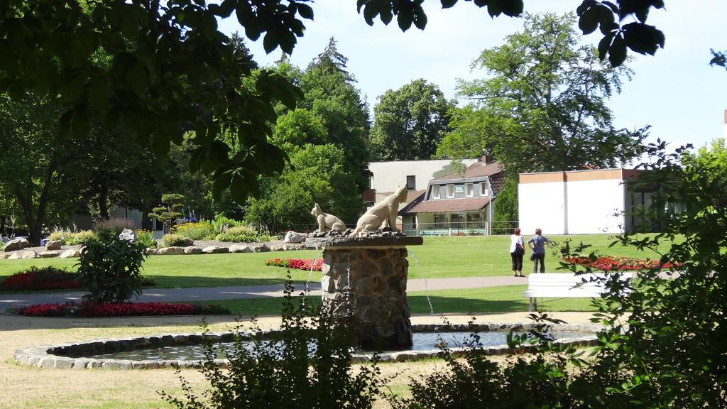 Pension Villa Irene Bad Harzburg Bagian luar foto